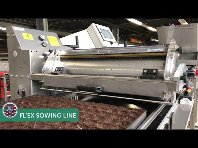 FL'EX Sowing Line for trays (Trees) | Flier Systems