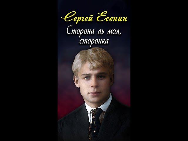 Сторона ль моя, сторонка - Сергей Есенин (читает Кирилл Радциг) #short
