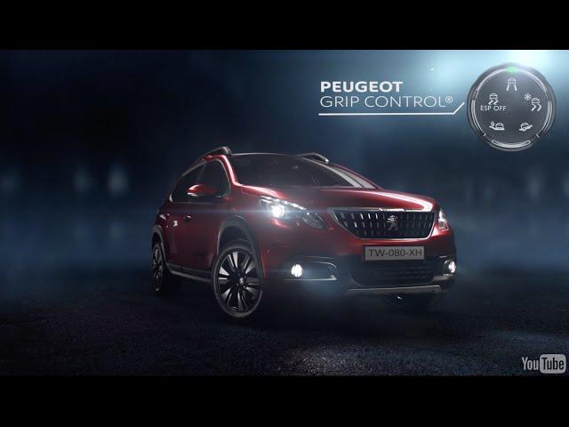 NAUJASIS PEUGEOT 2008 GRIP CONTROL