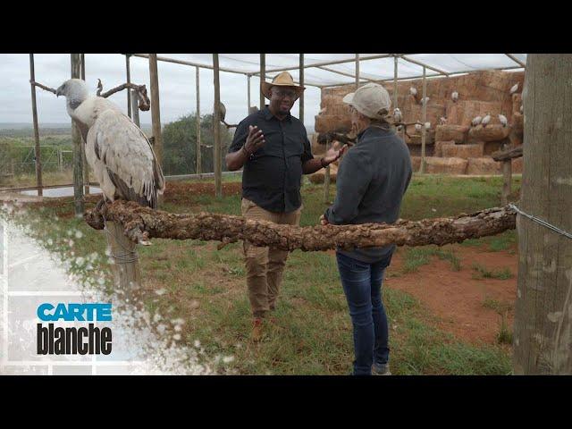 Home of the vultures | Carte Blanche | M-Net