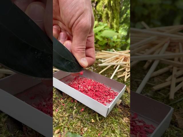 Bomb from matches  #asmr #bushcraft #survival #forest #camping #skills #experiment #bomb