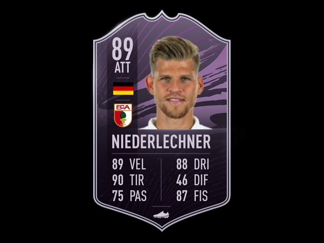 Niederlechner 89