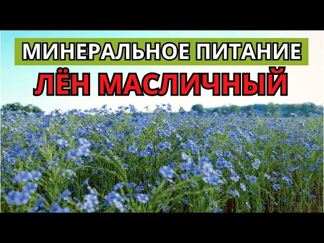 Схема питания для льна масличного. Внесение минеральных удобрений и листовых подкормок.