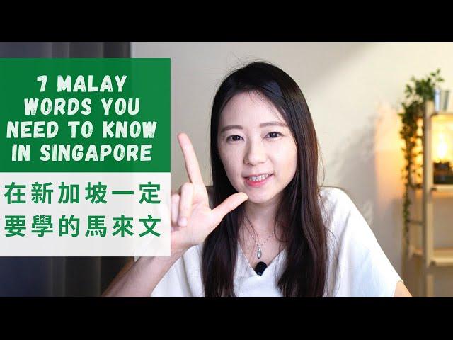 7 Malay words you need to know in Singapore｜I kena this..｜Taiwanese in Singapore｜Angel TV Singapore