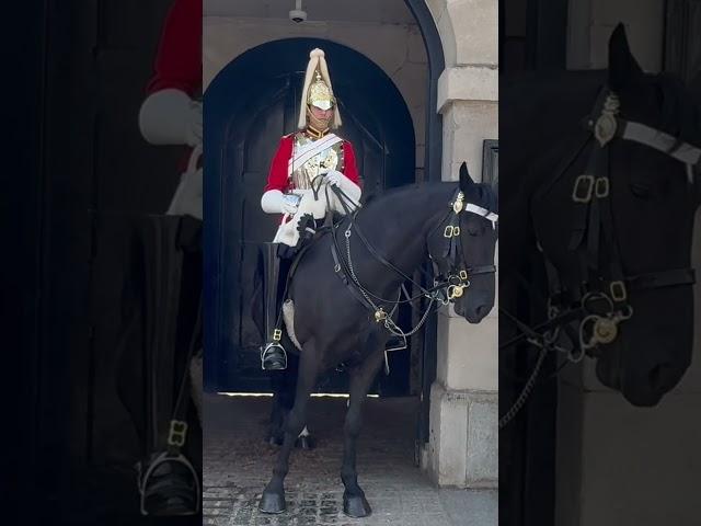 LOVELY TOURISTS With the KINGS Guard 