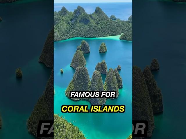 Raja Ampat Known as “The Last Eden” is Majestic #shorts