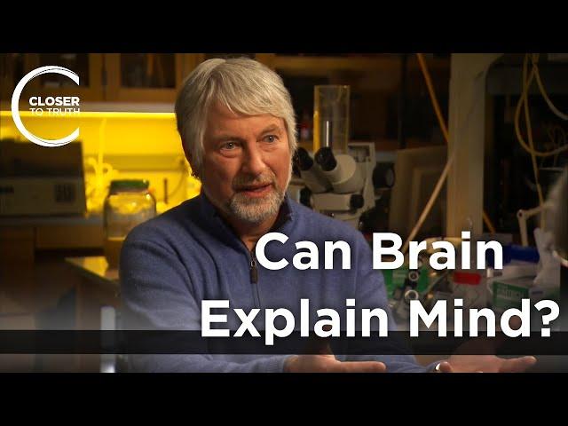 Christopher Evans - Can Brain Explain Mind?