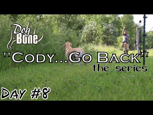 "Cody...Go Back": Teaching a Gun Dog hand signals | Day 8