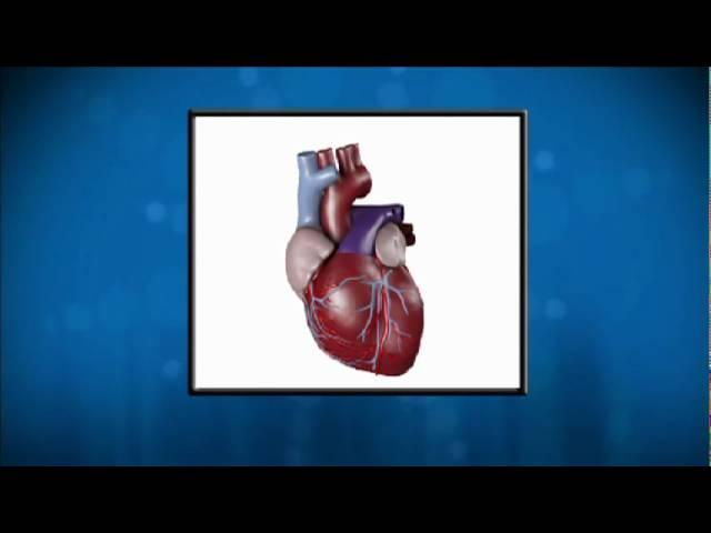 What is Cardiovascular Disease? Doctor Akshay Khandelwal Explains