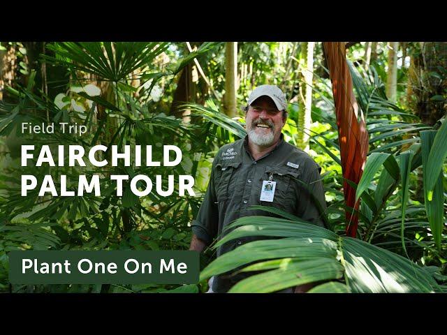 PALM TOUR at Fairchild Tropical Botanic Gardens — Ep. 316