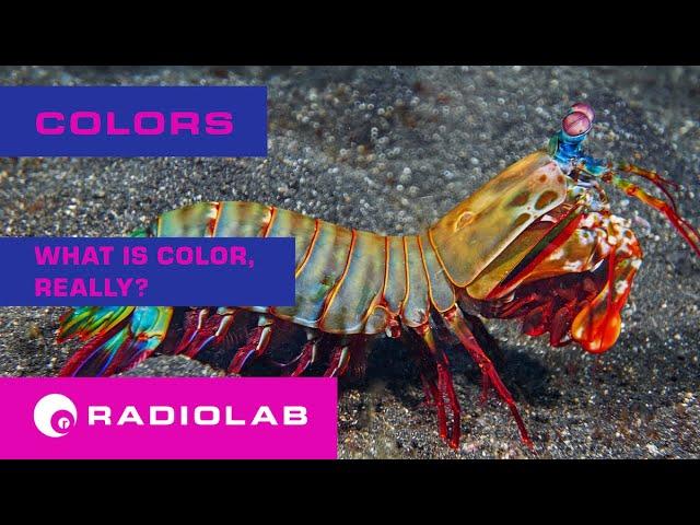 Colors: What is Color, Really? | Radiolab Podcast
