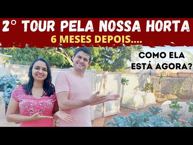 SEGUNDO TOUR PELA HORTA ORGÂNICA DO PLANTE E COZINHE. O QUE MUDOU SEIS MESES DEPOIS? (Ep53)