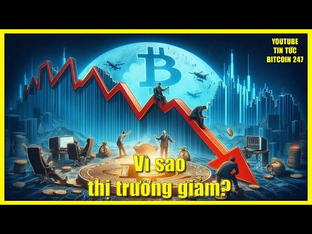 Nguyên nhân khiến Bitcoin giảm xuống 92K, tình hình các Altcoin hiện tại