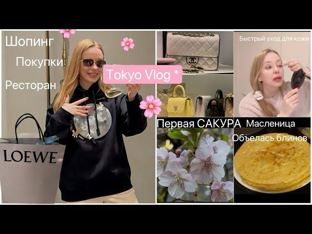 Vlog* Модные покупки в бутике Loewe ️ Chanel весна 2025  Сакура уже зацвела в Токио Масленица