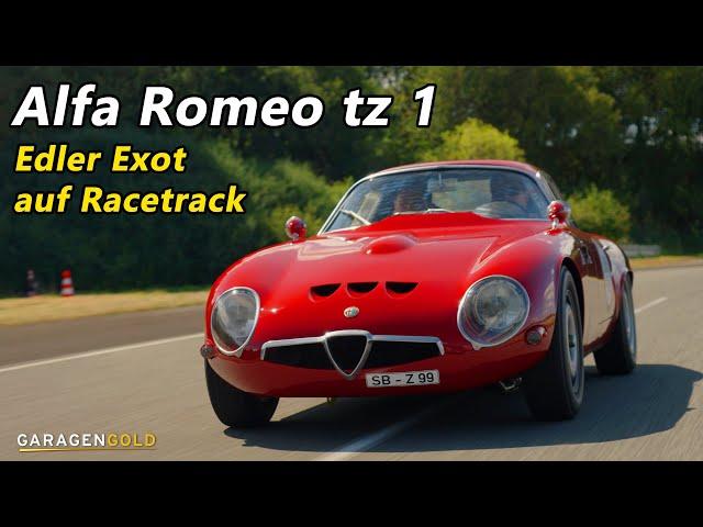 Alfa Romeo tz 1 - Noble exotic on racetrack I Garagengold