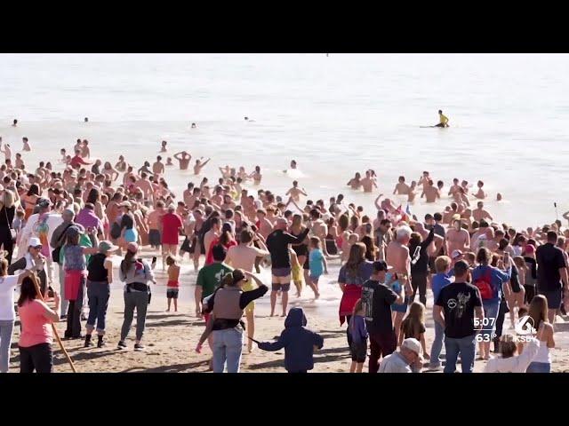 Celebrating the new year at the Avila Beach Polar Bear Plunge