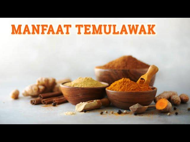 Manfaat Temulawak Bagi Kesehatan | Jamu Tradisional