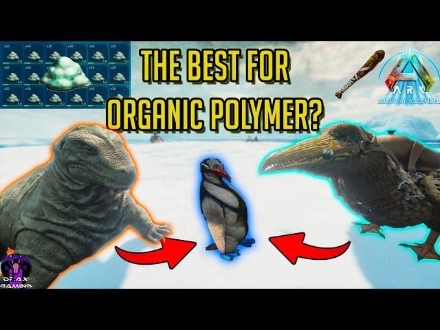 Best Ways to farm ORGANIC POLYMER | Resource, Tames & Tools Guide Ark Ascended ASA The Island !!