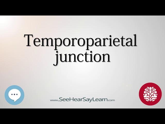 Temporoparietal junction   Anatomy of the Brain   SeeHearSayLearn 