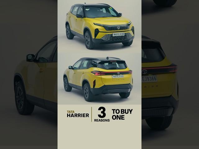 3 Reasons To Buy One | Tata Harrier 2024 FAQ #2