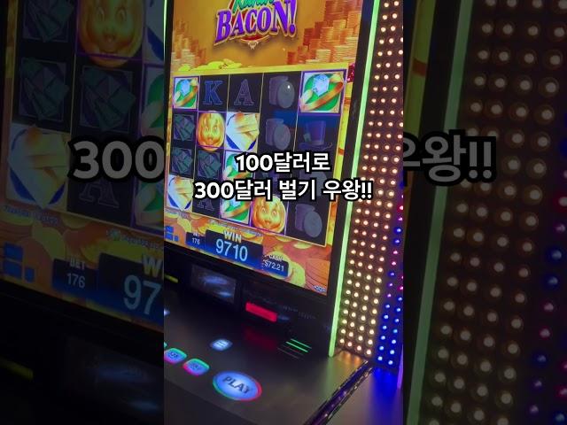 라스베가스 카지노 잭팟?! 100달러로 300달러 10분만에 벌었다..! #라스베가스 #카지노 #슬롯머신