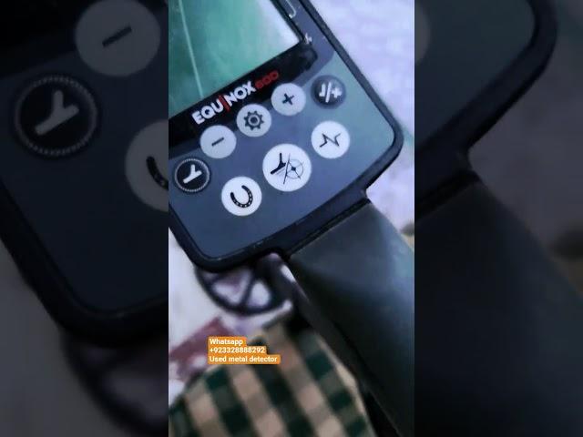 gold metal detector professional