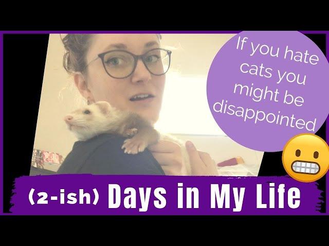 Day In My Life | Artist-Dietitian Edition
