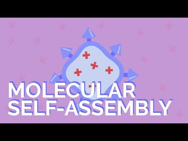 What is molecular self-assembly?