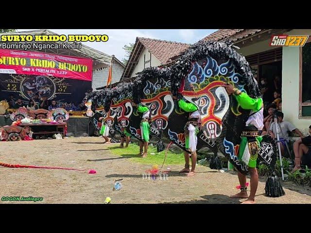 Kuda Kepang Pegon Jaranan SURYO KRIDO BUDOYO Terbaru 2022