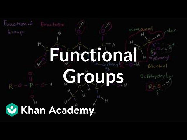 Functional groups | Properties of carbon | Biology | Khan Academy