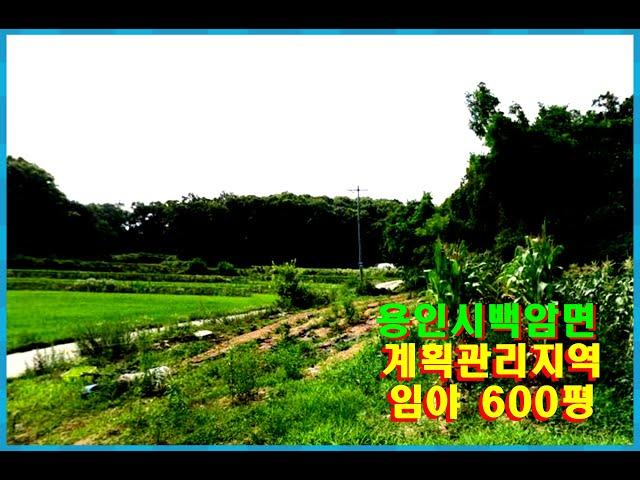 용인시 백암면 계획관리지역 토지 (임야) 매매 - 600평 3억3천