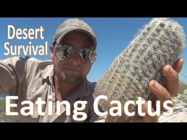Cactus Eating -Desert Survival- Food & Water