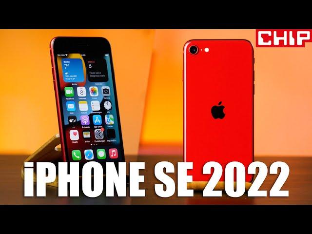 Apple iPhone SE (2022) im Test-Fazit | CHIP