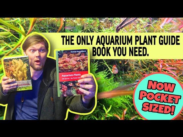 Is This NEW Aquatic Plant I.D. Book BETTER than the Original? Christel Kasselmann Aquarium Plants