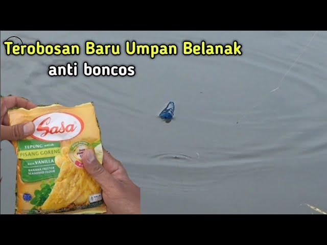 Terobosan Baru Umpan mancing belanak