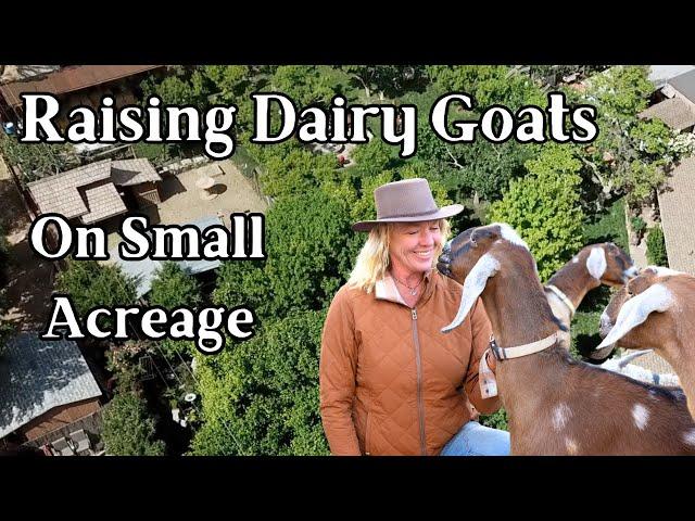 Raising Dairy Goats on a Small Acreage Homestead - My Layout