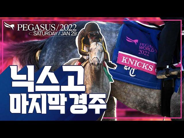 [한글 자막] 한국마사회 닉스고 출전! 2022 미국 페가수스 월드컵 경주 영상! Pegasus World Cup