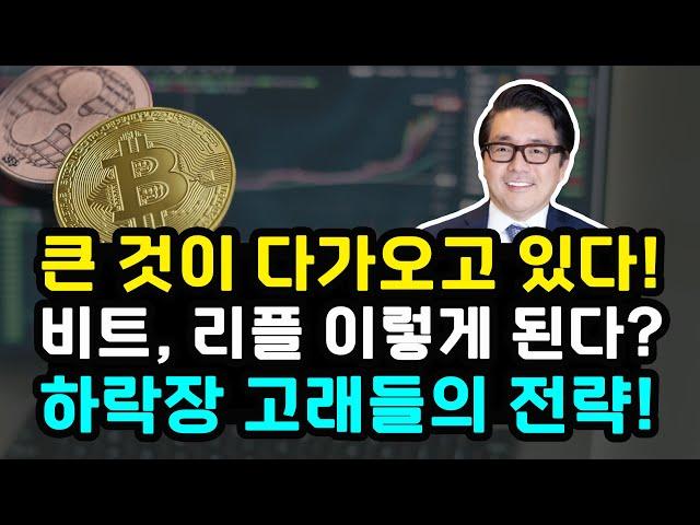 비트코인 리플 "CPI 발표 후 반등한 BTC" XRP 하락장세에서 매집한 고래들 12월 중요한 이벤트 소화하고 랠리 가는 걸까?