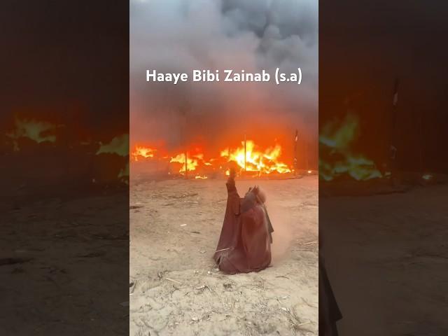 Haye Bibi Zainab (SA) #bibi #zainab #karbala