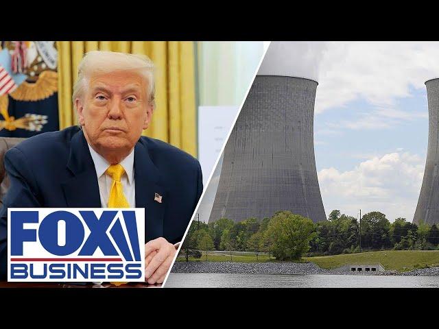 Trump’s nuclear reactors are GREAT: Nano Nuclear Energy CEO
