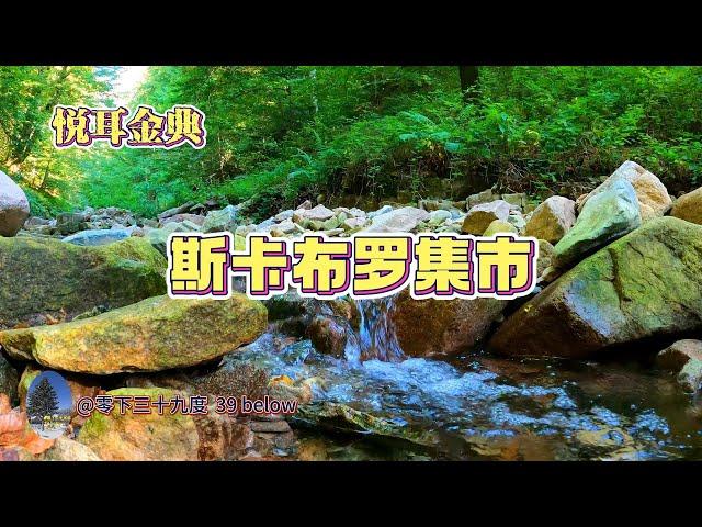 悦耳金典  斯卡布罗集市 Scarborough fair, 经典纯音乐，极品金曲，旋律优美，动听婉转，令人陶醉，心旷神怡，沁人心脾。祝福亲人!思念亲人!（20230615）。