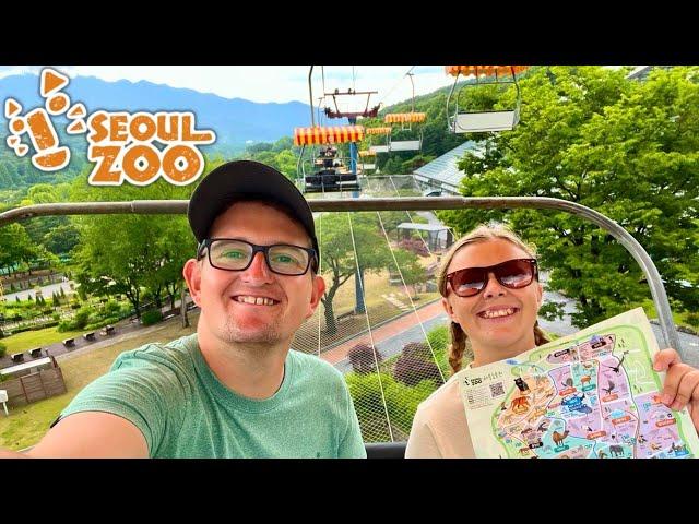 Visiting Seoul Zoo! FULL Tour & Awesome Chairlift In South Korea!