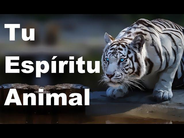 Your Animal Spirit, According to your Sign of the Zodiac