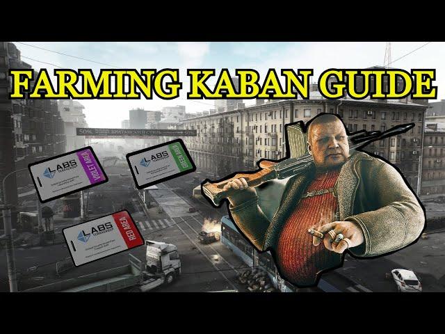 Kaban Farming Guide For Dummies - Escape From Tarkov