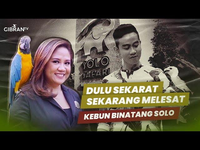 GIBRAN BAWA SOLO SAFARI MELESAT DULUNYA SEKARAT