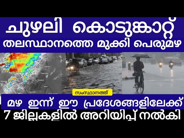 കൊടുങ്കാറ്റ്.. കനത്ത മഴ ചൂടിന് ആശ്വാസമായി മഴയെത്തി | Rain | Heavyrain |