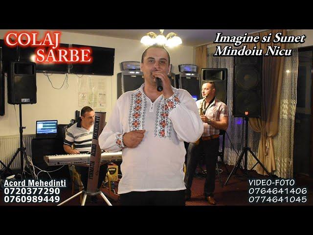 SHOW 2021 - CELE MAI TARI SARBE - Mihai Baleanu - Acord Mehedinti LIVE Muzica de Petrecere Cover NEW