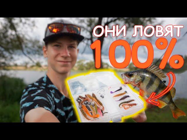 Топ 5 приманок на окуня. Ловля окуня на силиконовые приманки
