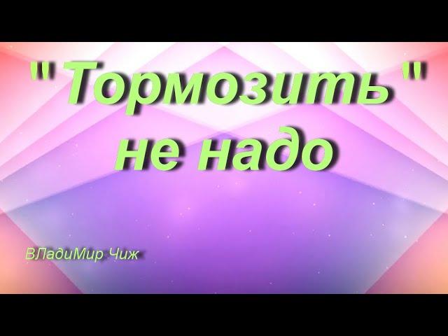 Тормозить не надо. ВЛадиМир Чиж.                  #стих#стихи#познание#поэзия