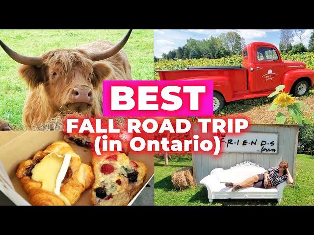 MUST DO fall road trip in Ontario! (best cafes, farms and antiques)